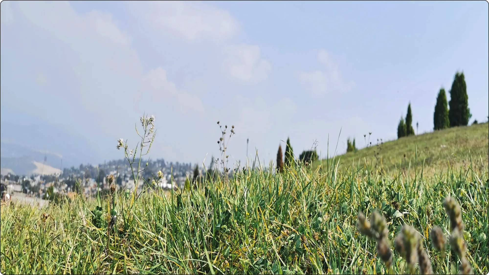 BG 3_edited.png